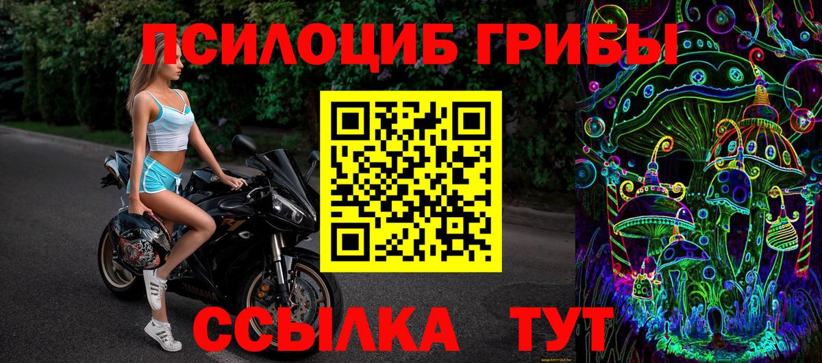 Волгодонск  Псилоцибиновые грибы GOLDEN TEACHER  Галлюциногенные грибы Magic Shrooms  Вход с VPN 